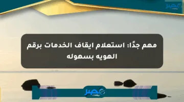 مهم جدًا: استعلام إيقاف الخدمات برقم الهوية بسهولة